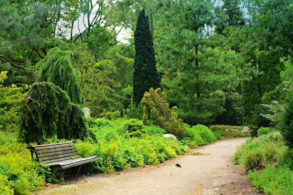 ein Weg in einem ruhigen Park mit einer Bank