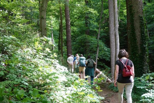Menschen gehen im Wald spazieren