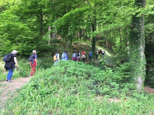 Leute bei einem Waldspaziergang