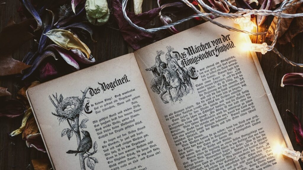 offenes Buch von Lichtern und Blättern umgeben